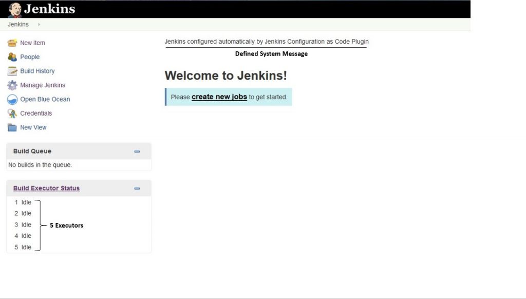 Jenkins Dashboard